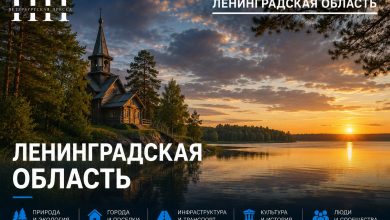 Новые технологии для бизнеса: как цифровая эволюция меняет правила игры