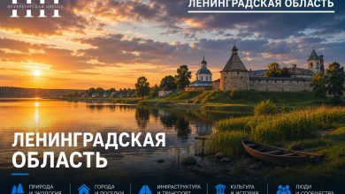 Как робот-рекрутер меняет подход к найму сотрудников