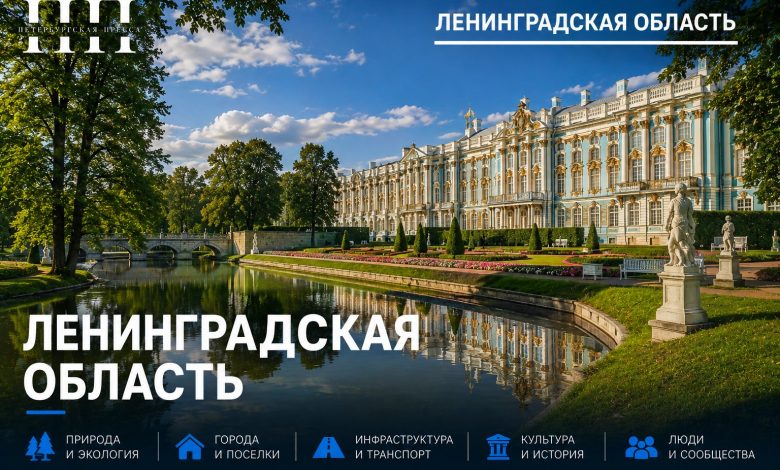 В Ленобласти с 2025 года возрастёт минимальный размер оплаты труда