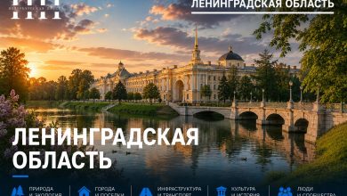 В Гатчинском районе Ленобласти пресекли деятельность крупного наркопроизводства