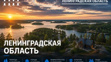 Вложились в газ, получили долги: жители Ленобласти остались с астрономическими счетами из-за разногласий с «Газпромом»