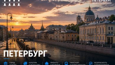 Первый в России рентгенографический комплекс «ПАРДУС-Нео» разработали специалисты СПбГЭТУ «ЛЭТИ»