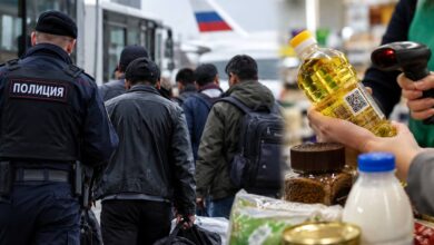 Новые правила в России с ноября 2026 года — ужесточение миграционного законодательства и контроль за маркировкой продуктов